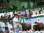 QURBAN-1-e1779880251851-1024x916-1